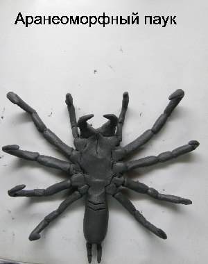 Аранеоморфный паук